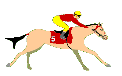 caballo 5